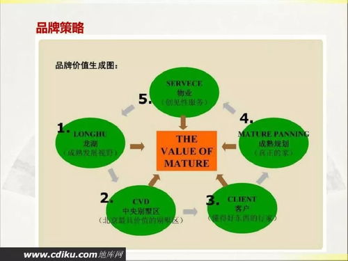 2019年龙湖房产项目实施策划与公关服务方案