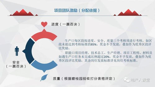 碧桂园项目策划与公关服务整合方案汇报