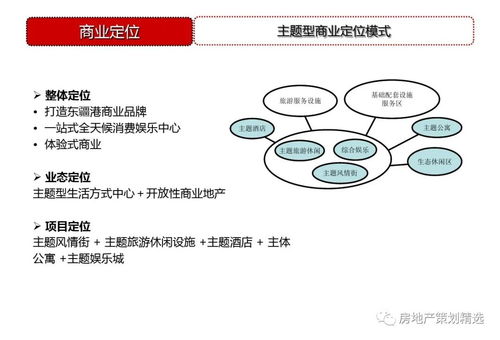 天津东疆港住宅项目前期全案策划与定位总纲