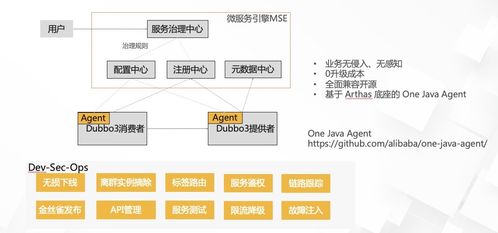 Dubbo 3.0 阿里巴巴服务框架三位一体的选择与实践